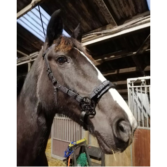 Hackamore / sidepull hoofdstel model 2