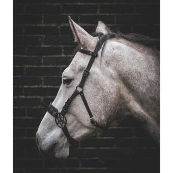 Hackamore / sidepull hoofdstel model 2